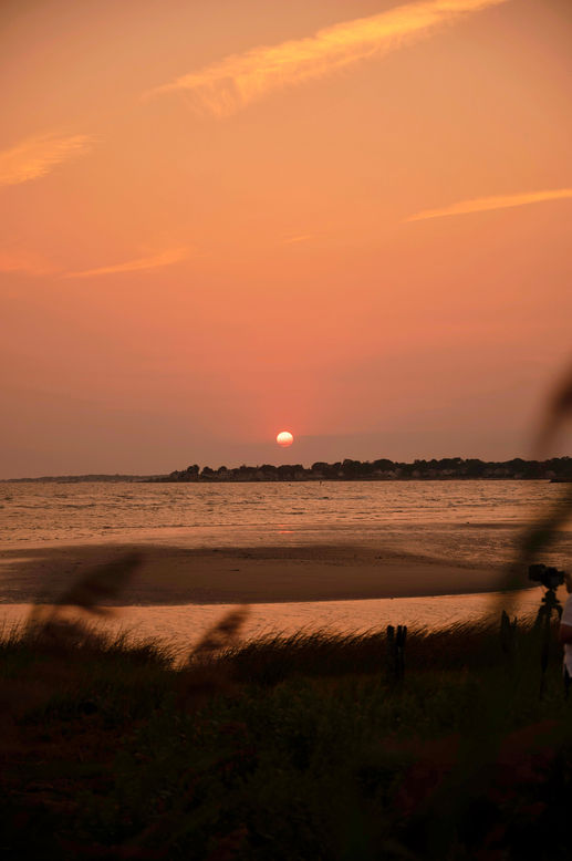 DSC_8413-01.jpeg