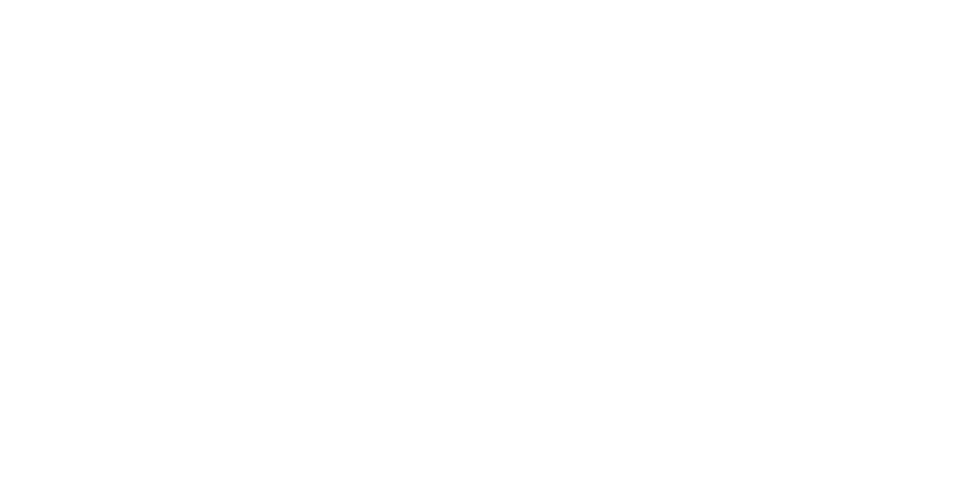 1845 logo white_transparent.png