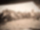 aref bedouin sheikhs matson collection 1932 (2)_edited.jpg