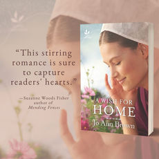 A WISH FOR HOME by Jo Ann Brown - Excerpt