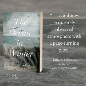THE OCEAN IN WINTER by Elizabeth de Veer - Excerpt - "Remarkable"