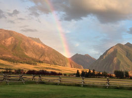 Living in Montana: FAITHFUL by Janet Fox
