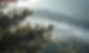 mountain forest landscape (12).jpg
