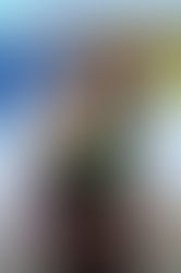 A Reader's Opinion: THE SEVENTH SON by Ashley York