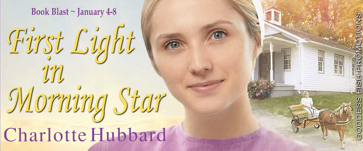 Blog Tour for Morning Star by Charlotte Hubbard