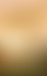 Excerpt: The Women of Crooked Creek – Courage, Love, and the Frontier