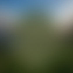 Slow and Mindful Living: A Gentle Guide to Presence in Everyday Life