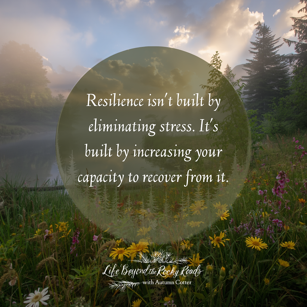 Sunlit meadow by a misty lake at sunset with wildflowers and evergreens; quote reads: Resilience isn’t built by eliminating stress.