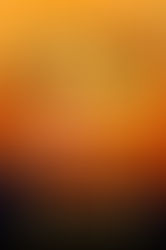 A Reader's Opinion: BEWITCHED by Nancy Fraser