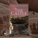Book Review: The Castle - A Gripping Mystery