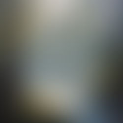 Your One True Sentence