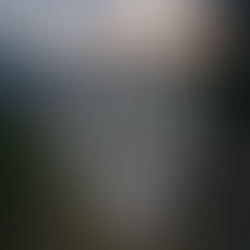 The Beauty of New Beginnings