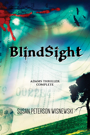 A Reader's Opinion: BLINDSIGHT by Susan Peterson Wisnewski
