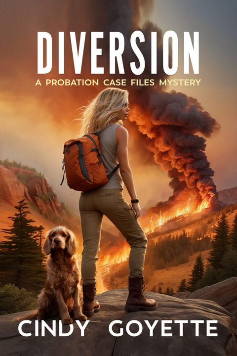 Diversion by Cindy Goyette: Survival, Secrets, and Second Chances