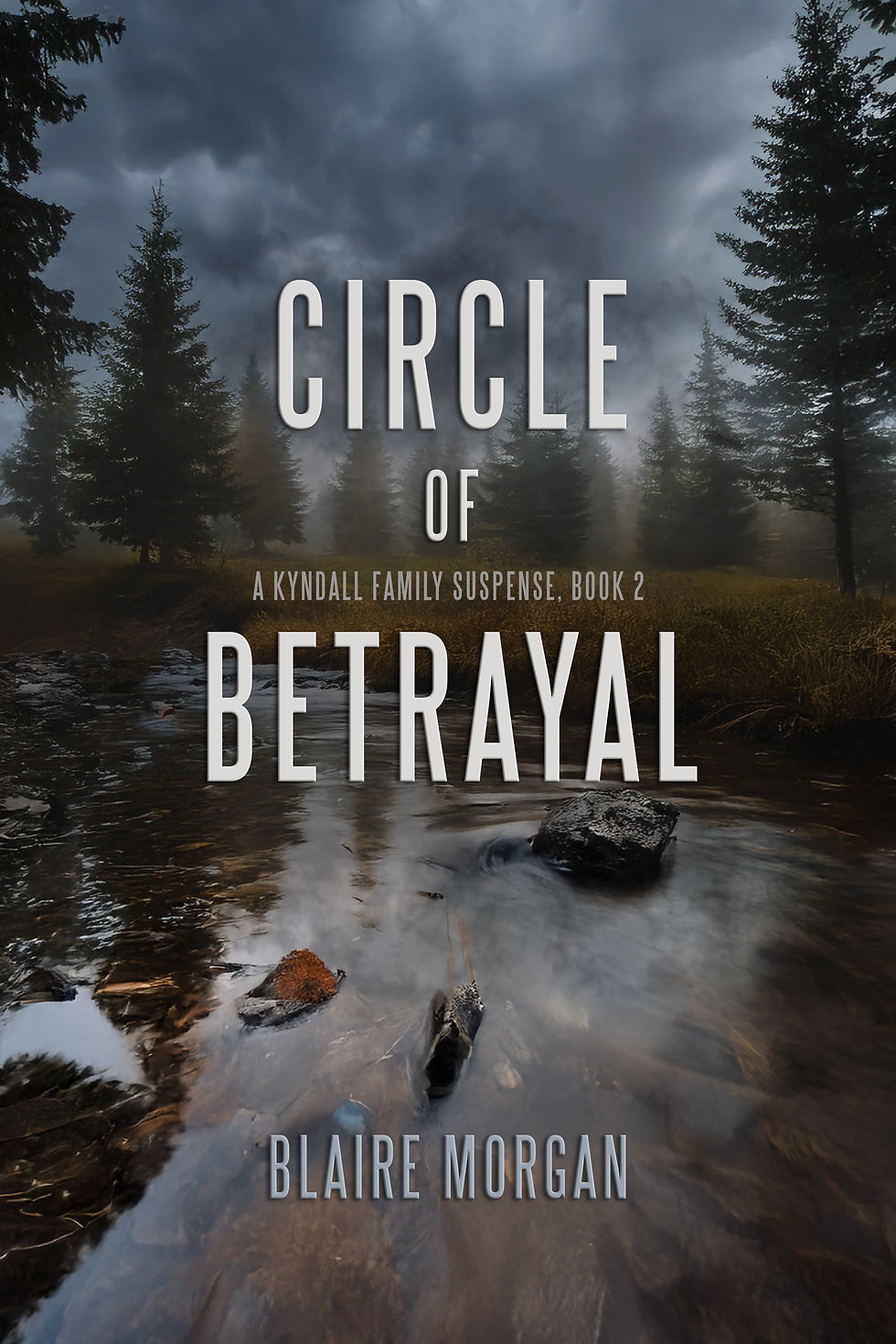 A Lakeside Lodge, Deadly Corruption, and a New Romance - Shadow of Betrayal is Here