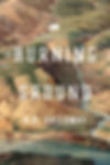 BURNING GROUND by D.A. Galloway