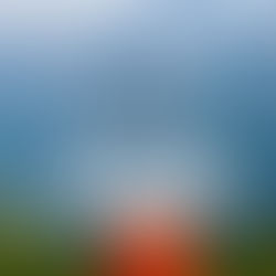 Debt-Free Journey: How Paying Off Debt Changed My Life and Brought Peace