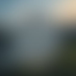 What Slowing Down Reveals About What Matters