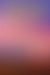 A Reader's Opinion: LOVE'S NEW BEGINNING by Dorothy Wiley