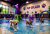 Splash Pad 2.png