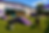 Canine Camp 4.png