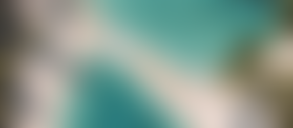 Explore the Best Travel Destinations with Bosco Adventures