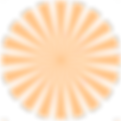 Orange Pattern _3x_edited_edited.png