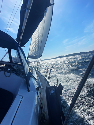 Sail Boat Elba.png