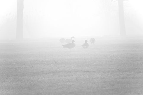DSC_0015.jpeg