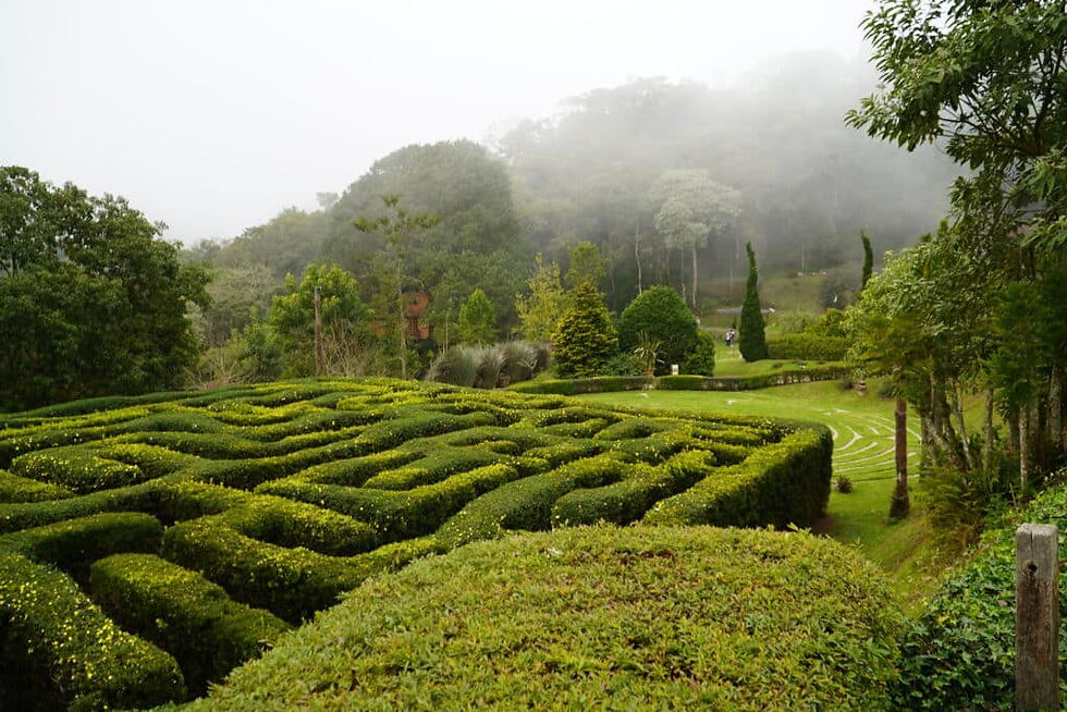 🌿 Amantikir em Campos do Jordão: quanto custa, como visitar e por que esse parque encanta turistas