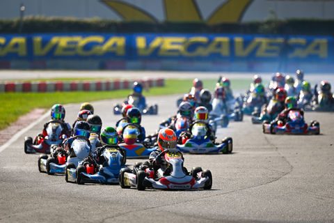 Leading the way in Mini