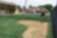 Winter Green Lawns St George