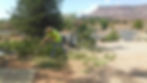 Tree Removal St George