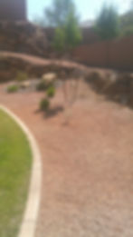 After Weed Control