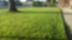 Lawn and Yard Maintenance in St George UT