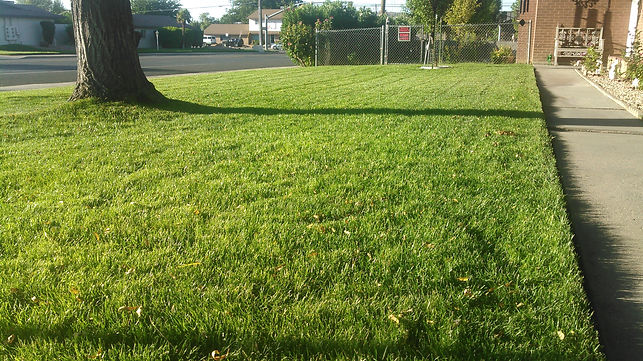Lawn fertilizer packages in St George Utah