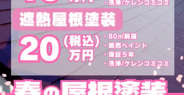 春が来た！作戦開始ー！