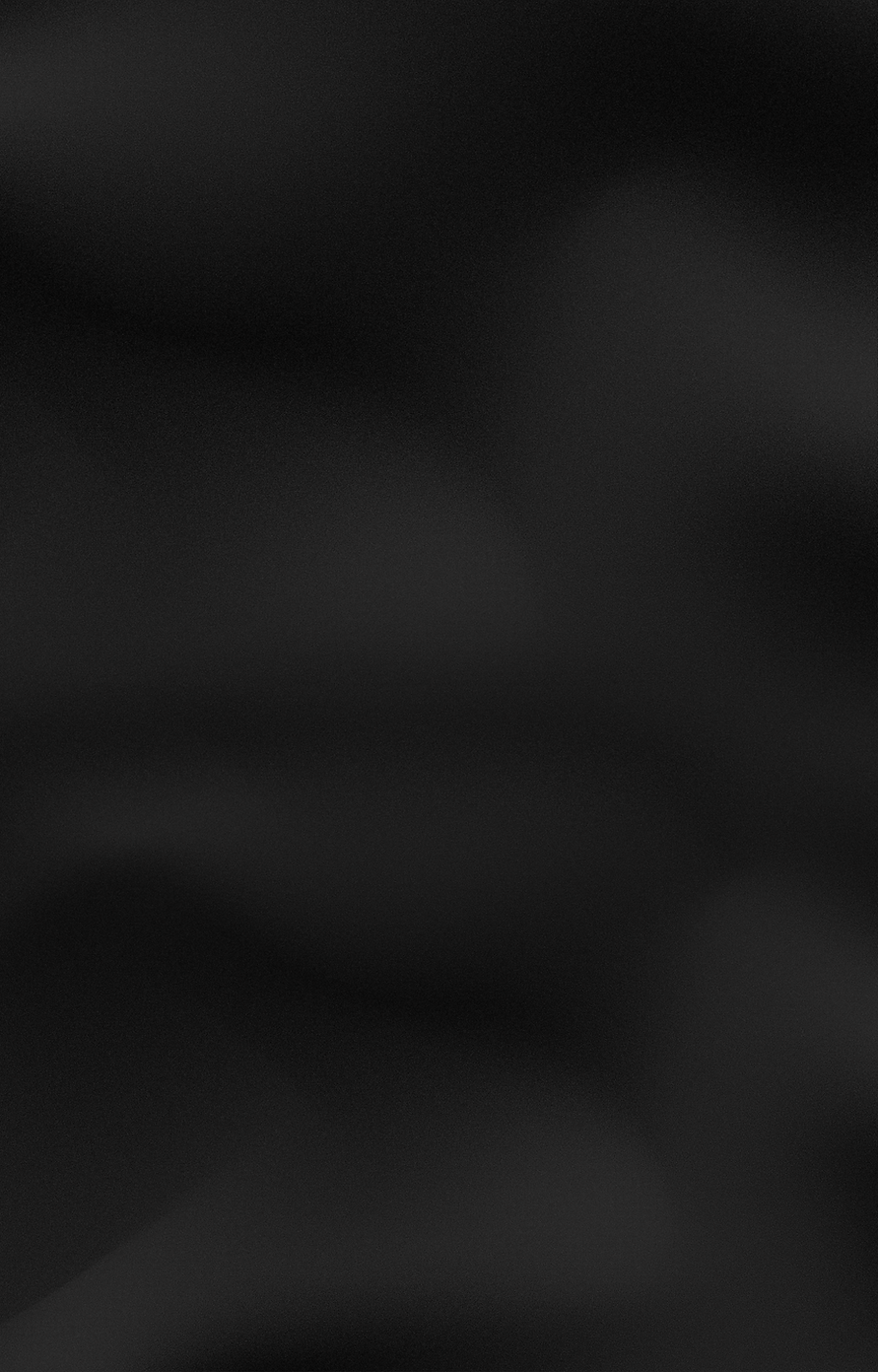 Fundo definitivo.png