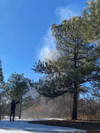 Tree Spraying Service in Colorado and Denver surrounding areas, castle rock, parker, larkspur