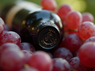 How to Choose the Perfect Wine for Any Occasion