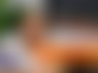 Cancelado? “Cristina ComVida” é o maior fracasso de sempre de Cristina Ferreira