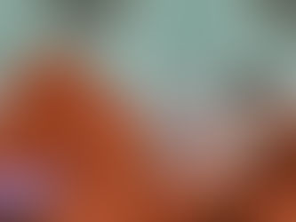 Helena Isabel e Gonçalo Quinaz apanhados em movimentos suspeitos