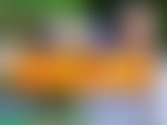 Aberta investigação sobre alegadas manipulações nas audiências a favorecer a SIC