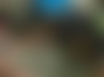 Jéssica Fernandes pede desculpa a Renato