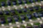 pringView Investments Renter Demographics