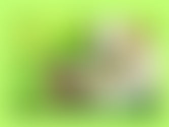 ペットとの魂のつながりを読み解く数秘講座