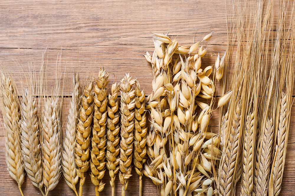 What Is Celiac Disease
