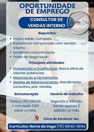 CONSULTOR DE VENDAS INTERNO.png