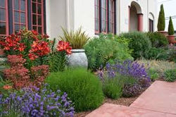 garden w container