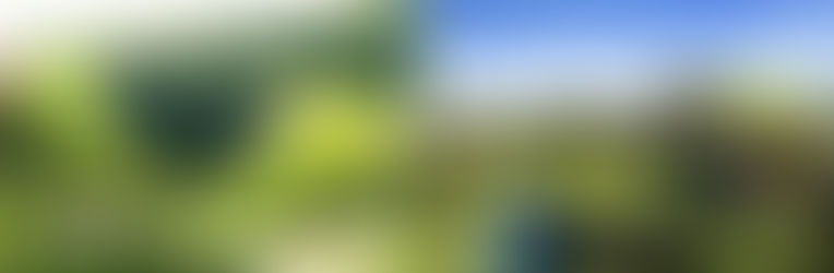 Telhado verde para melhorias na drenagem urbana
